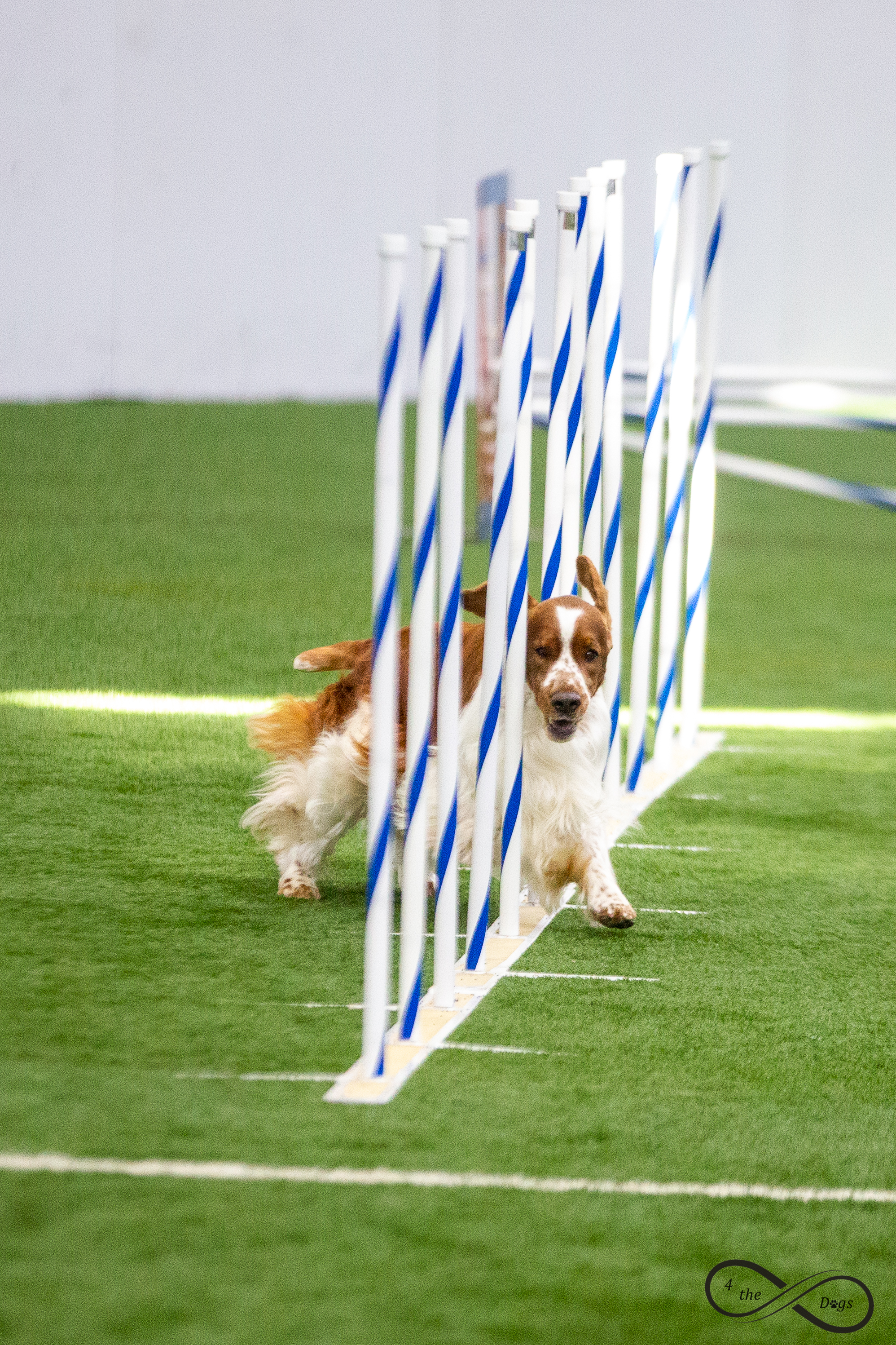 agility